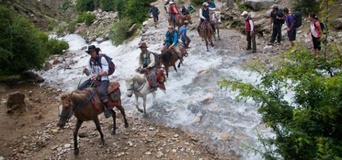 Pony Trekking