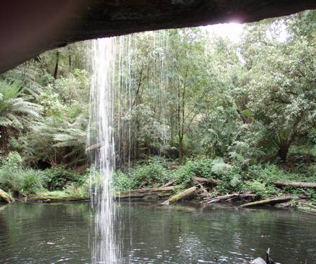 Great Ocean Road & Otways Waterfalls